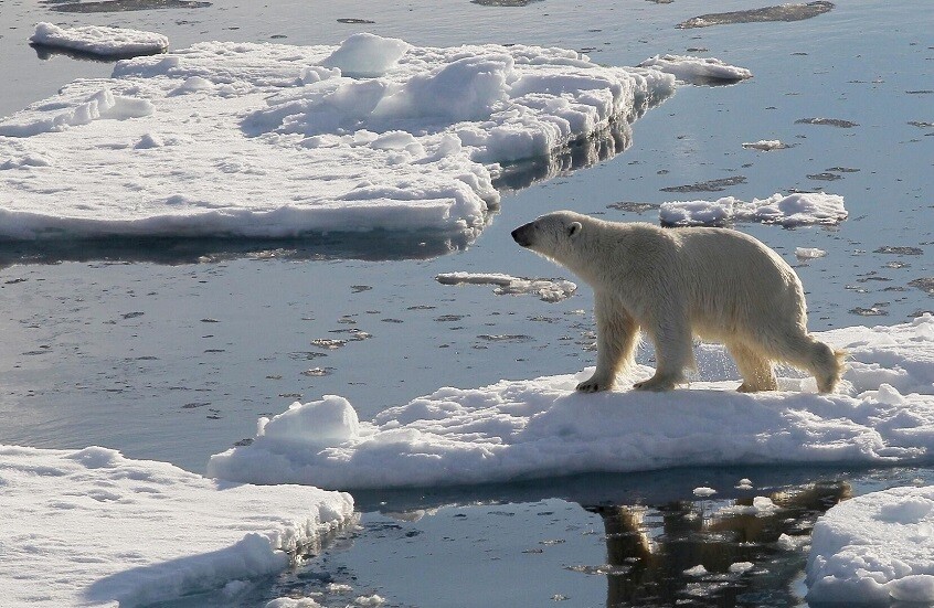 القطب الشمالي يفقد أسبوعا من شتائه كل عقد!.. علماء روس يوثقون تغيرات مناخية مقلقة