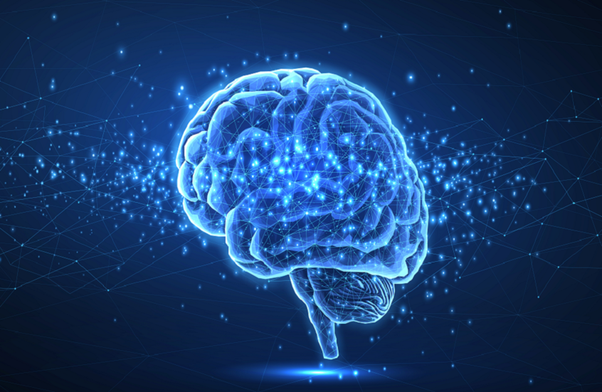 اكتشاف طريقة معالجة الدماغ البشري للمشاكل الجديدة