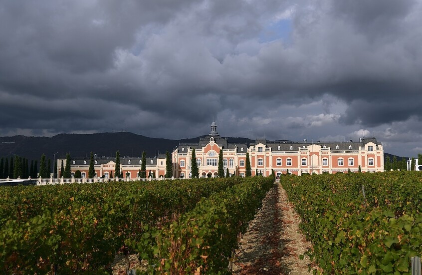 إعلان موعد افتتاح أول مدينة للنبيذ في روسيا والعالم