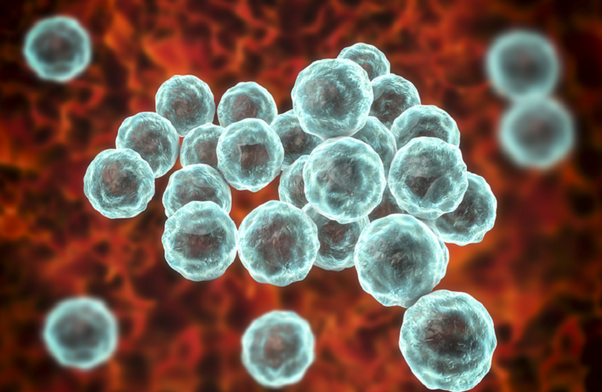 كارثة صحية.. ولاية أمريكية تسجل قفزة جنونية في حالات مرض جنسي خطير!