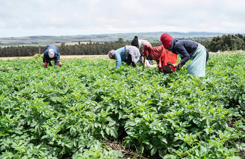 كارثة بيئية صامتة تهدد سدس الأراضي الزراعية في العالم!