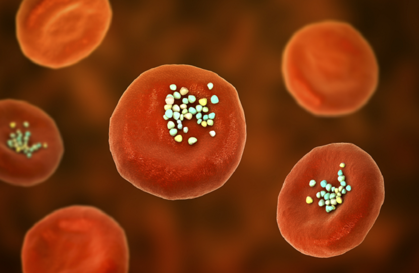 أرقام صادمة.. كم من البلاستيك الدقيق المسرطن يتسلل إلى جسدك دون أن تدري؟!