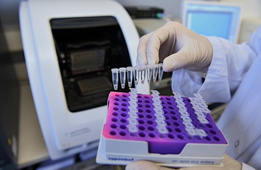 المكسيك تسجل أول إصابة بشرية بـ"داء الدودة الحلزونية"