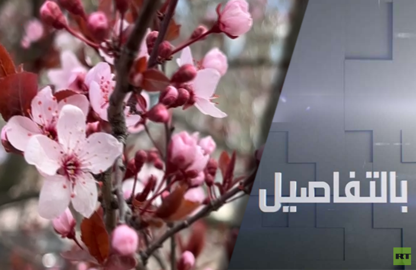 هدنة الفصح.. موسكو التزمت وكييف خرقت