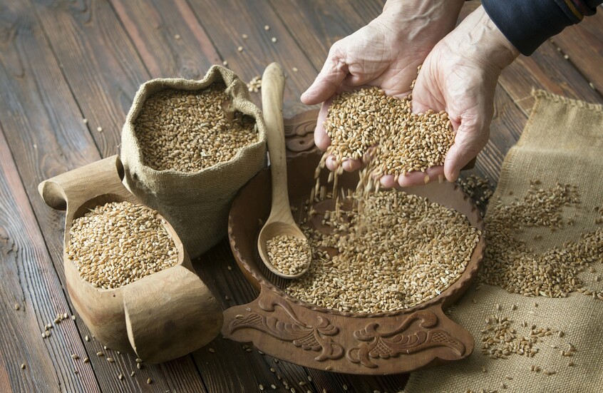 الصادرات الزراعية الروسية إلى السعودية تسجل نموا بنحو الربع في 2024