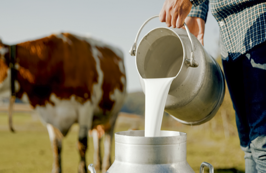 هل الحليب الخام آمن؟.. دراسة توضح