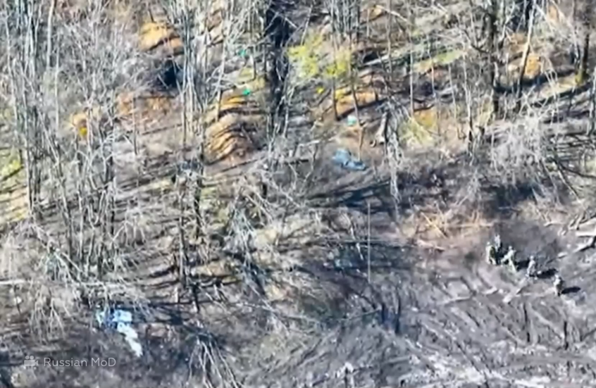 مشاهد لتصفية قوات أوكرانية في مقاطعة كورسك