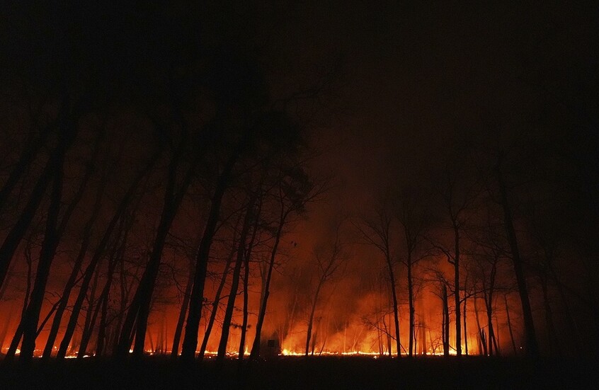 حرائق غابات ضخمة في نيوجيرسي الأمريكية والنيران تقترب من محطة نووية سابقة