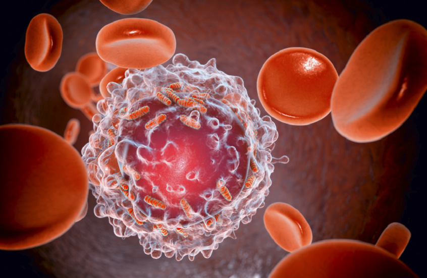 دراسة إماراتية: دواء شائع للكوليسترول قد يطيل عمر مرضى سرطان الدم