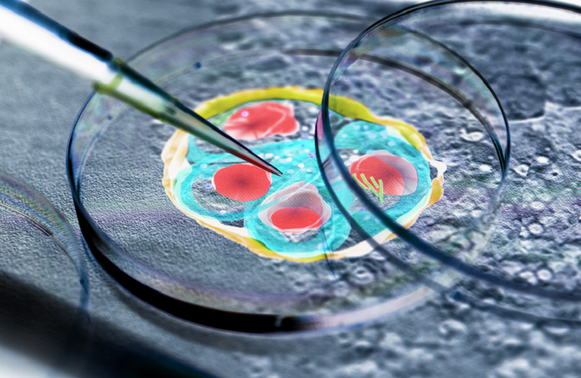 انتشار مقلق لطفيلي مميت قد يؤدي إلى فشل الكبد