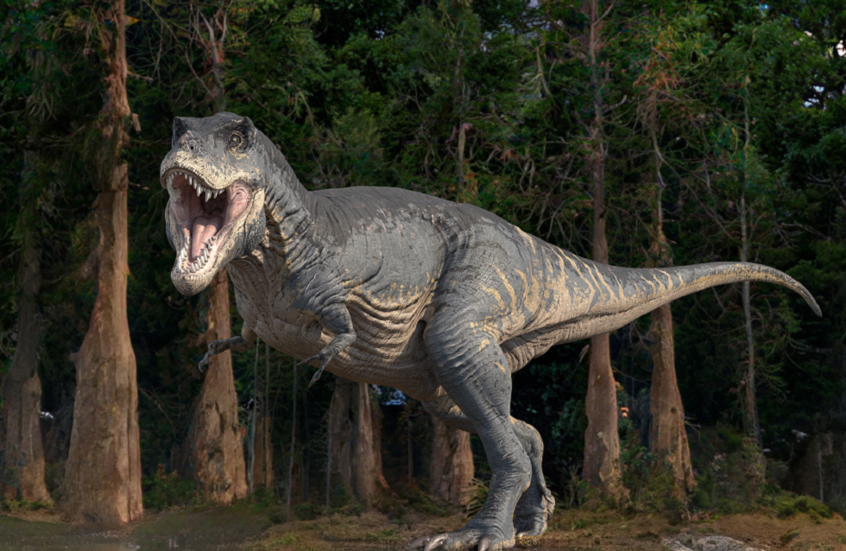 مشروع رائد في عالم الموضة.. إنتاج أول جلد من ديناصور "تي ريكس" في العالم