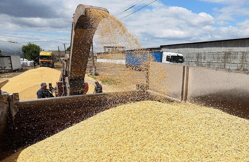 سوريا تشكر العراق على "هدية القمح"