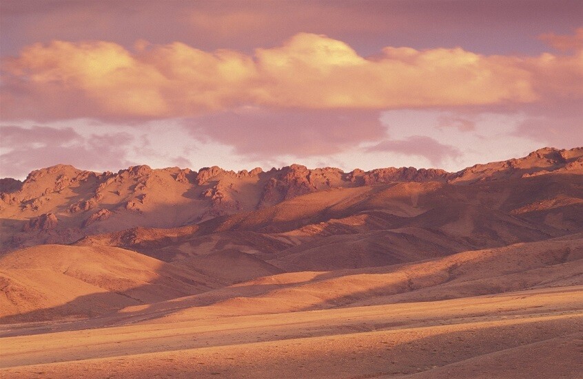 اكتشاف نوع جديد من الثدييات من عصر الديناصورات في منغوليا