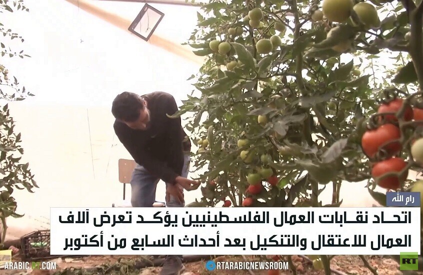 تزايد معاناة عمال فلسطين بعد 7 أكتوبر