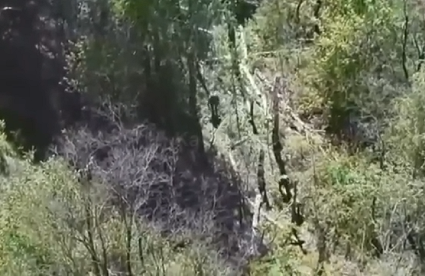 قديروف: إحباط محاولة تسلل أفراد القوات الأوكرانية إلى أراضي مقاطعة كورسك من اتجاه سومي (فيديو)