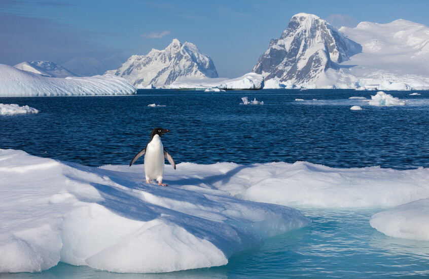 ظاهرة غريبة في أنتاركتيكا تحير العلماء!