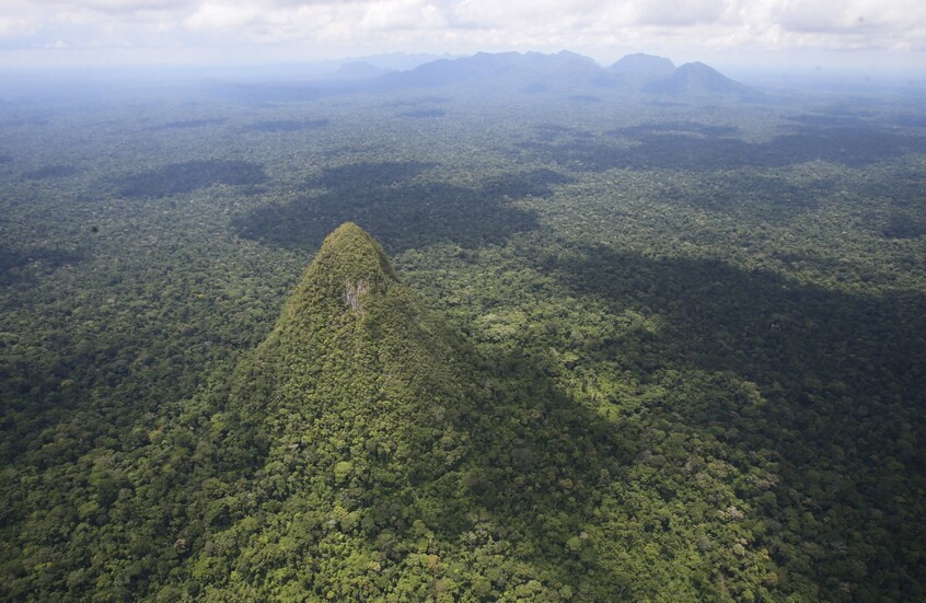 "تل المخروط".. "هرم" غامض في غابات الأمازون يحير العلماء!