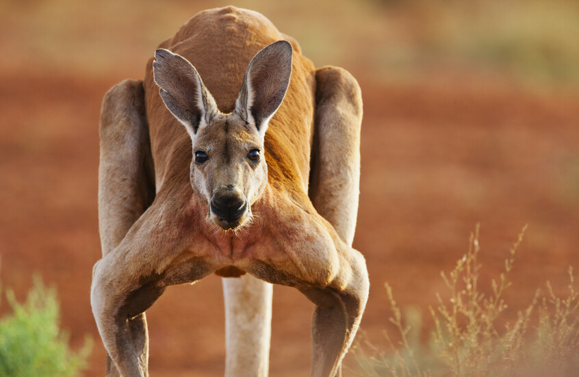 نهاية مأساوية لرجل حاول 