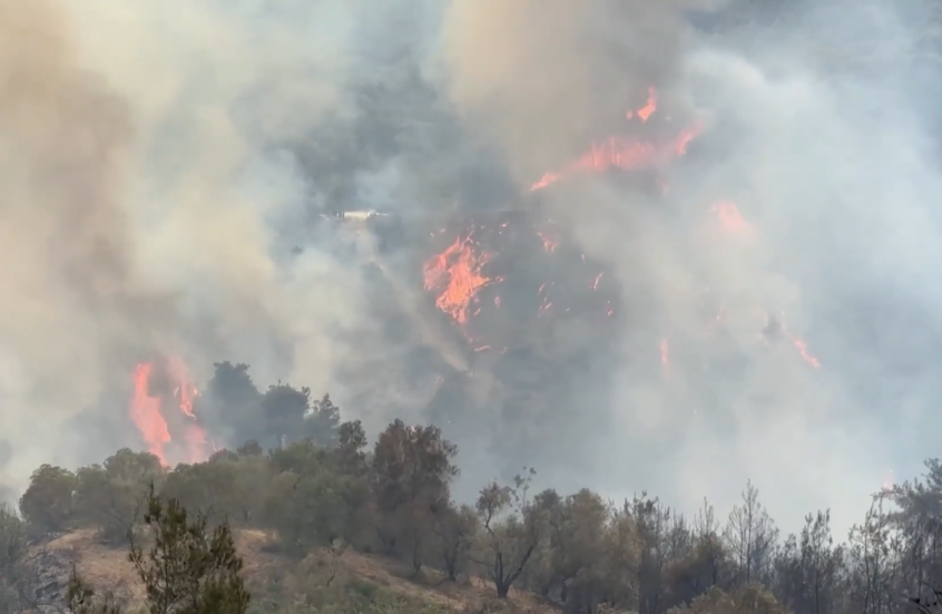 سوريا.. حرائق الغابات تلتهم جبل التركمان بريف اللاذقية