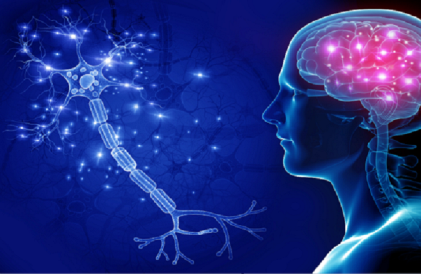 عوامل تسرع شيخوخة الدماغ