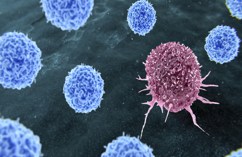 اكتشاف مفتاح خفي في الخلايا قد يوقف نمو السرطان