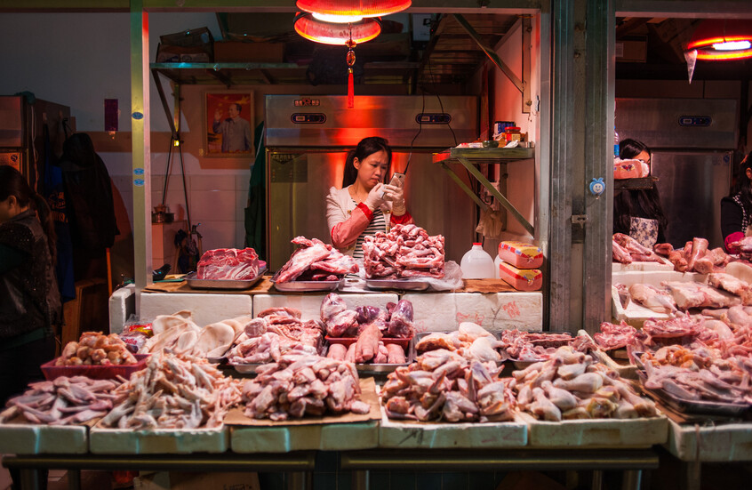 موريتانيا.. فتوى تحرم الدجاج المستورد من الصين