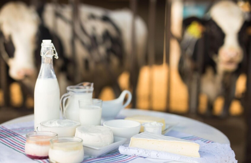 دراسة: منتجات الألبان تساعد على ضبط مستويات السكر في الدم