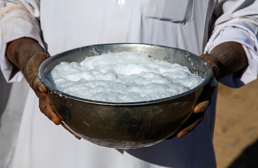 السعودية.. حليب الإبل قريبا إلى الصين