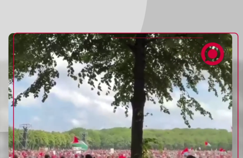 مظاهرة مؤيدة لفلسطين في لاهاي الهولندية