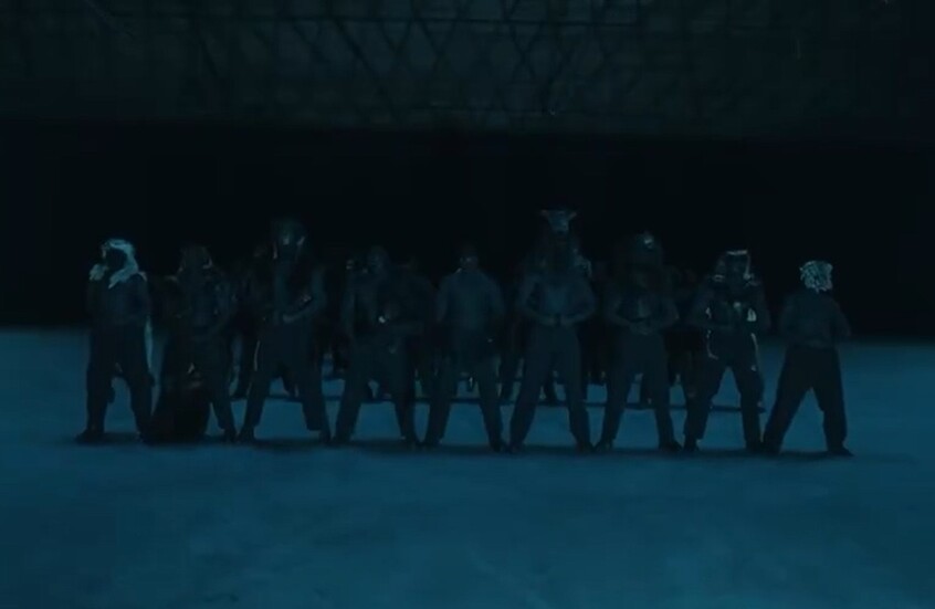 نشرها على منصة