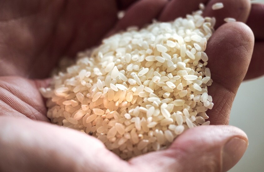 صحيفة: الأرز يتسبب بفضيحة تعصف بالحكومة اليابانية