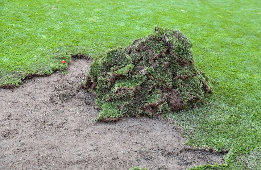 بيع عشب ملعب فريق مقابل يورو عبر الإنترنت