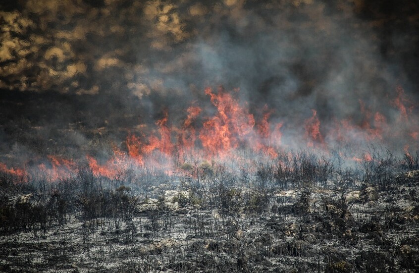 5 حرائق تلتهم نحو 578 دونما في حراج الغاب بمحافظة حماة السورية