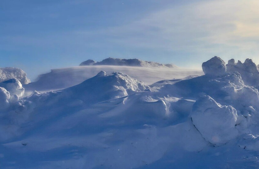 كاسحة جليد وخيمة حمراء وشبهات أكل لحوم بشر!