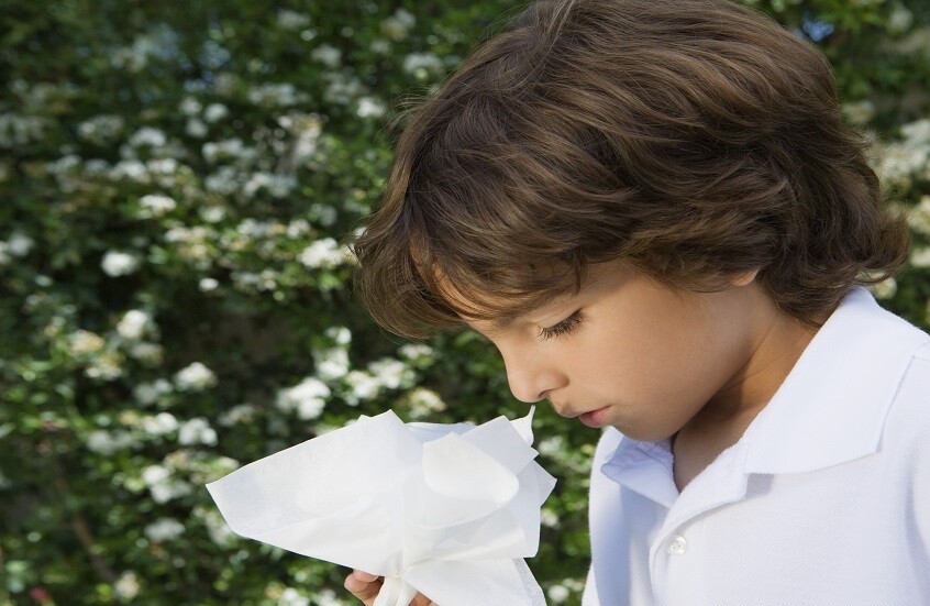 كيف نتخلص من حساسية حبوب اللقاح؟