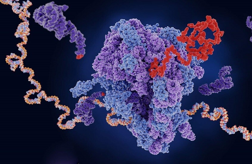 اكتشاف تأثير عقار الملاريا في علاج الأمراض الجينية النادرة