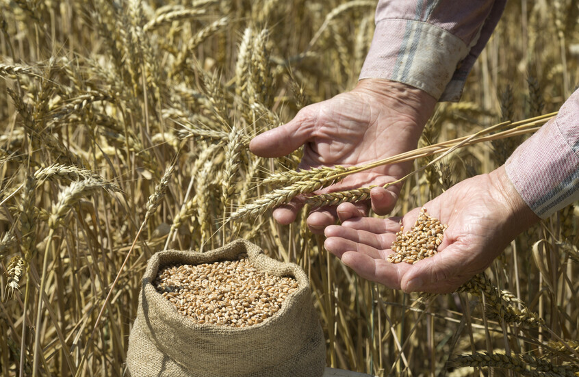 منتدى روسي سعودي لتعزيز التعاون في المجال الزراعي