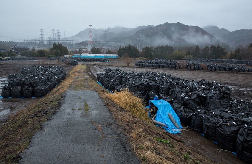 اليابان تستخدم تربة مشعة قليلا من فوكوشيما في أحواض الزهور في مكتب رئيس الوزراء