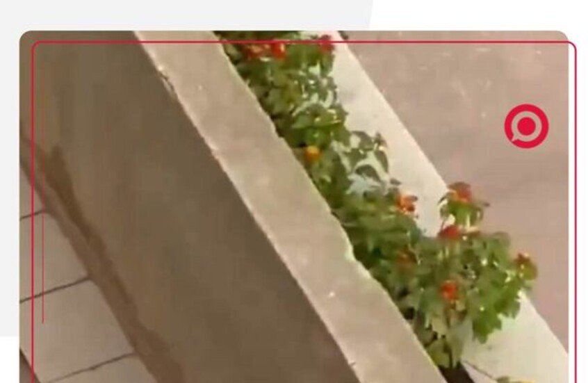 طرد السفير الإسرائيلي في السنغال من جامعة في داكار