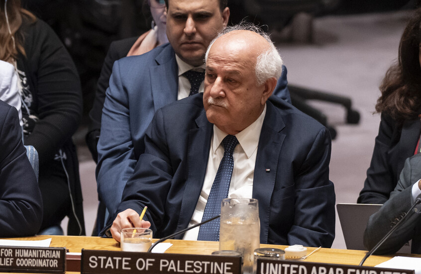 بالفيديو.. مندوب فلسطين ينفجر بالبكاء في مجلس الأمن