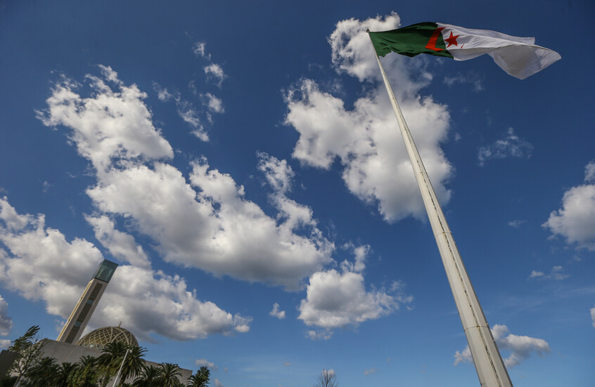 تقرير: الجزائر تشهد انتعاشا في الزراعة والصناعة وقطاع الخدمات عام 2024