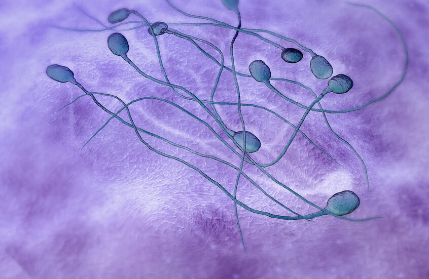 طفيلي "يقطع رؤوس" الحيوانات المنوية في 5 دقائق فقط!