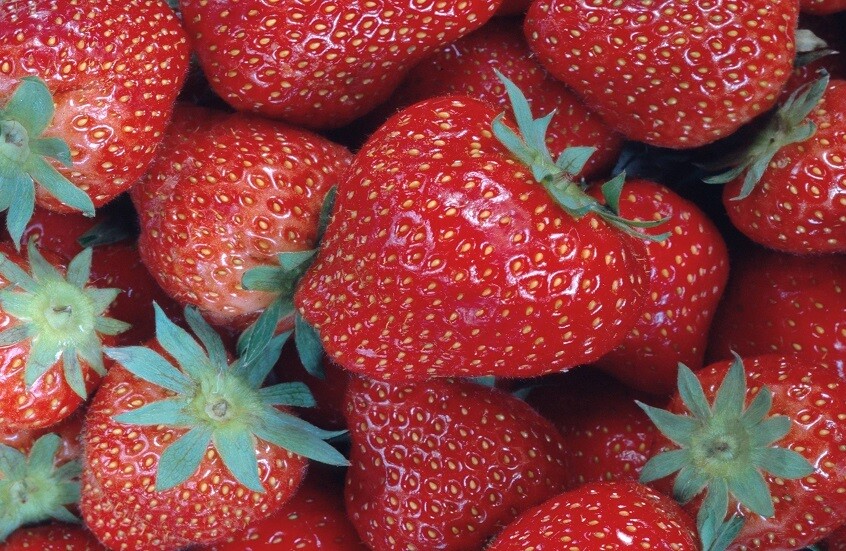 كيف تساعد الفراولة في الحفاظ على الذاكرة؟