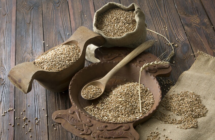 القمح الروسي يمثل ثلث حجم السوق الإفريقية