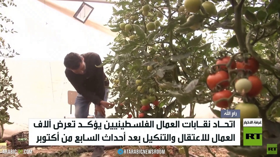 تزايد معاناة عمال فلسطين بعد 7 أكتوبر