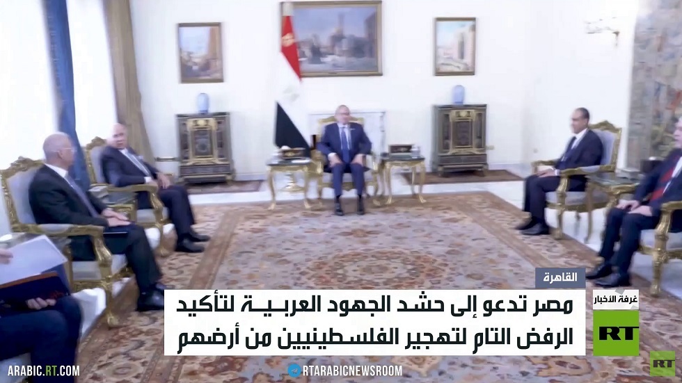 مباحثات مصرية عراقية في القاهرة