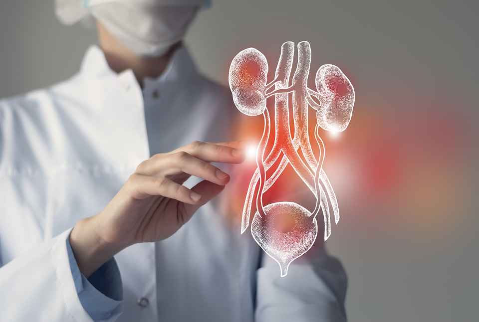 "لحظة فارقة في تاريخ الطب".. نجاح أول عملية زرع مثانة في العالم