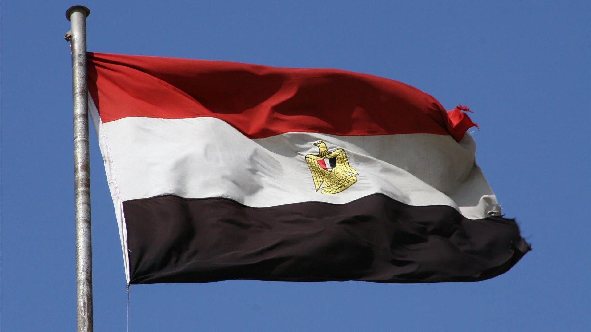 فخ الرياضات القتالية.. تفكيك شبكة تهجير شباب بحيل البطولات الوهمية في مصر