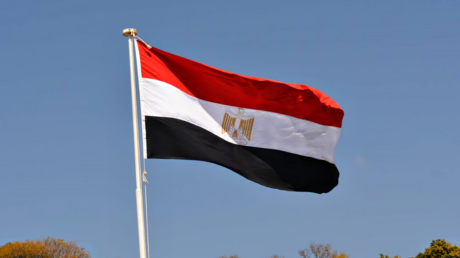 مصر: نتطلع إلى إسهام جولة ترامب الخليجية في دفع جهود وقف إطلاق النار بغزة