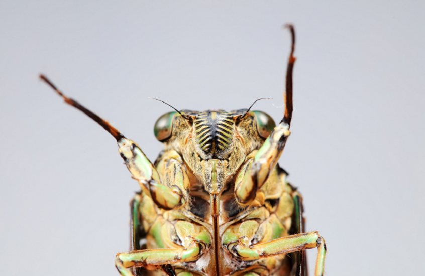 في ظاهرة نادرة.. مليارات من 